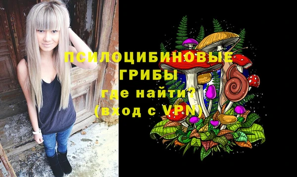 дживик Баксан