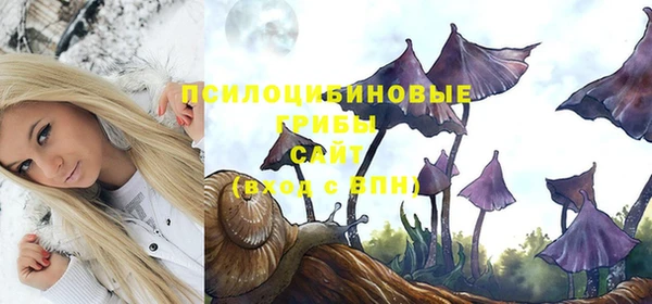 дживик Баксан