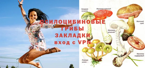 дживик Баксан
